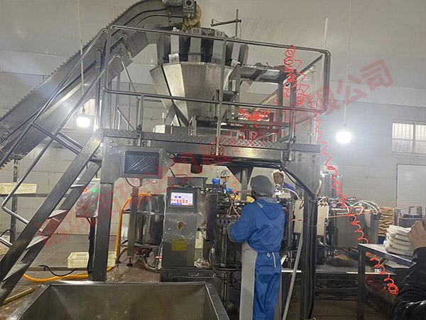 生姜清洗加工流水線設備 生姜清洗加工流水線設備